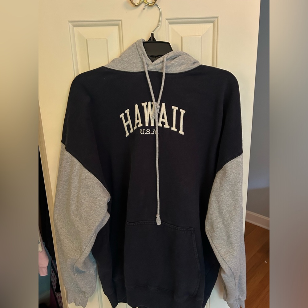 Brandy Melville blue and grey hoodie with HAWAII on the front
